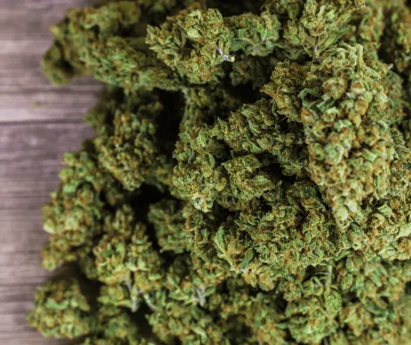 Class b drugs - cannabis sentencing guidelines